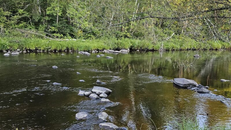 Thornapple River Campground - Ladysmith, WI