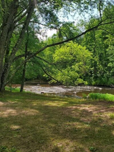 Thornapple River Campground - Ladysmith, WI