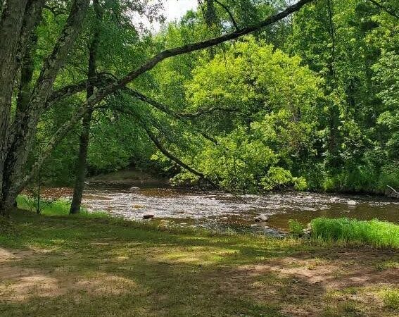 Thornapple River Campground - Ladysmith, WI