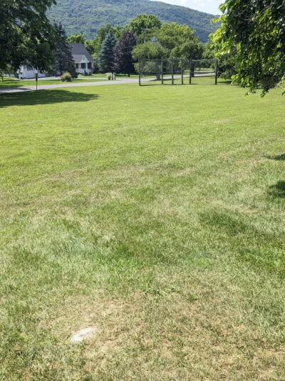 Bailey Park - Lafayette, NY