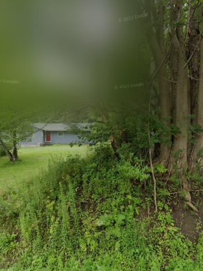 LaFayette Kennels - Lafayette, NY