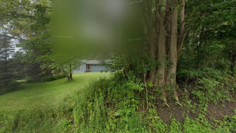 LaFayette Kennels - Lafayette, NY