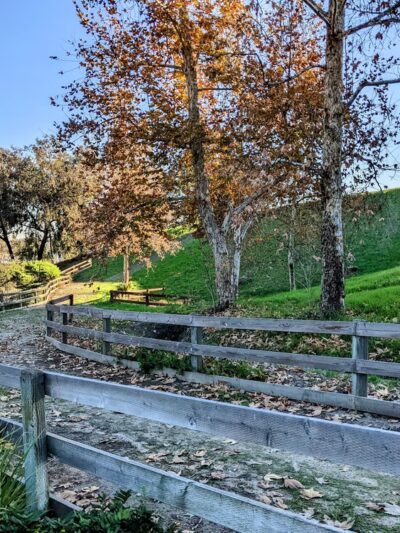 Cabot Park - Laguna Hills, CA