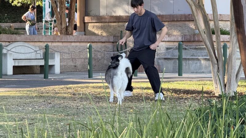 Cabot Park - Laguna Hills, CA