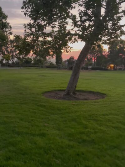 Hidden Trail Park - Laguna Hills, CA