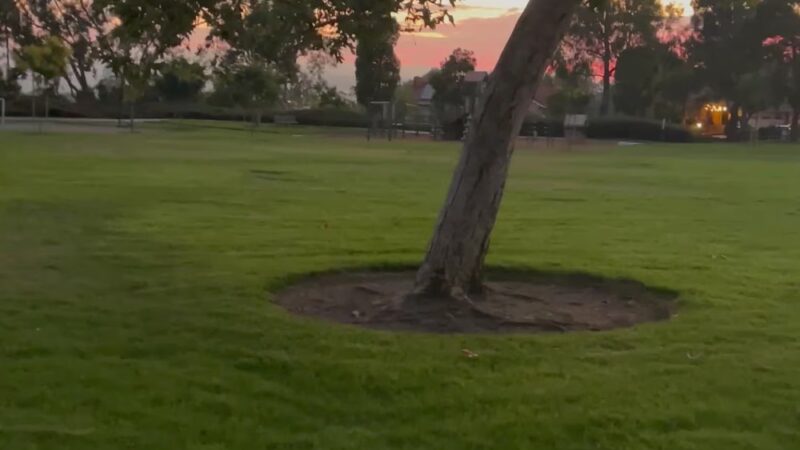 Hidden Trail Park - Laguna Hills, CA