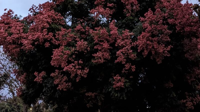 Hidden Trail Park - Laguna Hills, CA