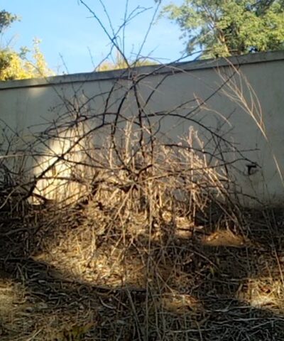 Hidden Trail Park - Laguna Hills, CA