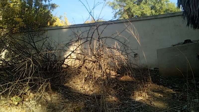 Hidden Trail Park - Laguna Hills, CA