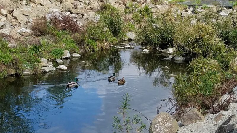 Sheep Hills Park - Laguna Hills, CA