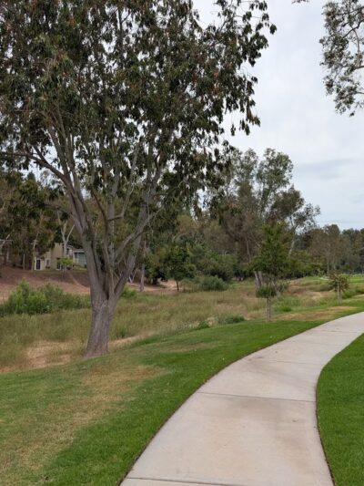 Veeh Ranch Park - Laguna Hills, CA