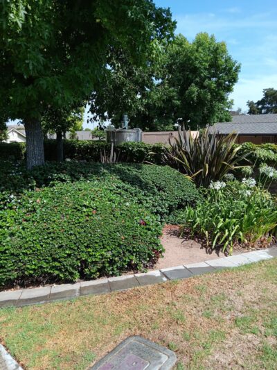 Veeh Ranch Park - Laguna Hills, CA