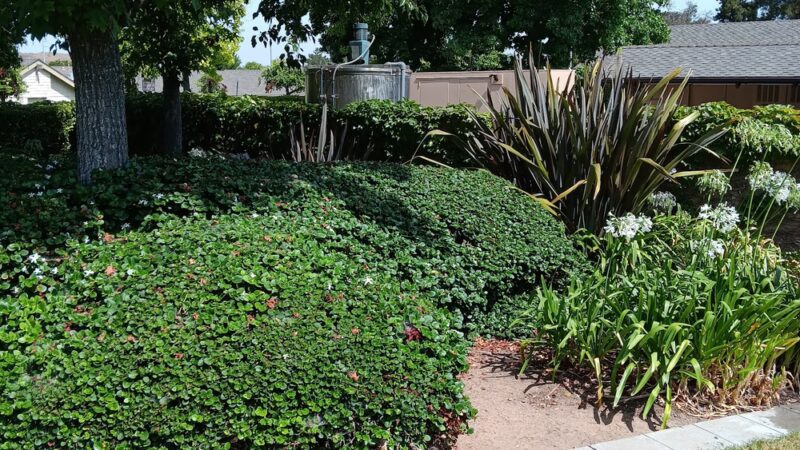 Veeh Ranch Park - Laguna Hills, CA