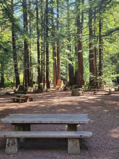 Creekside Loop Campground - Lagunitas, CA