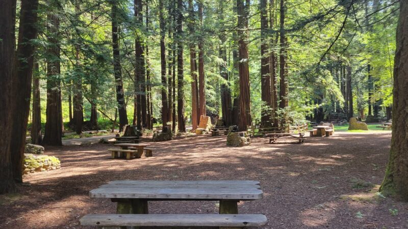 Creekside Loop Campground - Lagunitas, CA