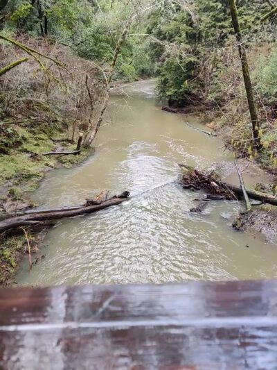Creekside Loop Campground - Lagunitas, CA