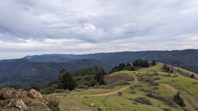Creekside Loop Campground - Lagunitas, CA