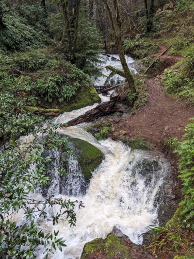 Creekside Loop Campground - Lagunitas, CA