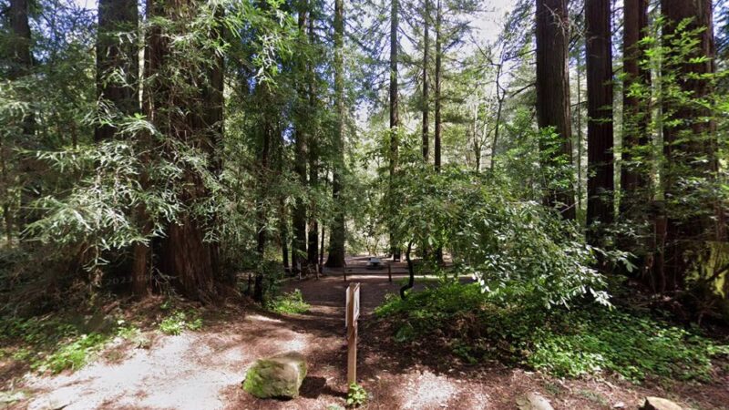 Hike/Bike Campsite - Lagunitas, CA
