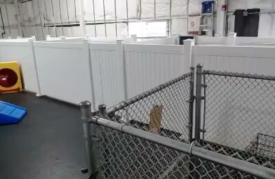 Bark N Park - Lake Bluff, IL