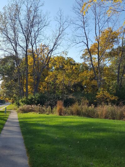 Sanctuary Park - Lake Bluff, IL