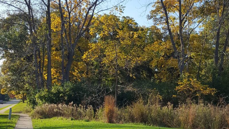 Sanctuary Park - Lake Bluff, IL