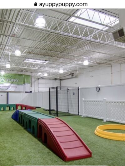 Yuppy Puppy - Lake Bluff, IL