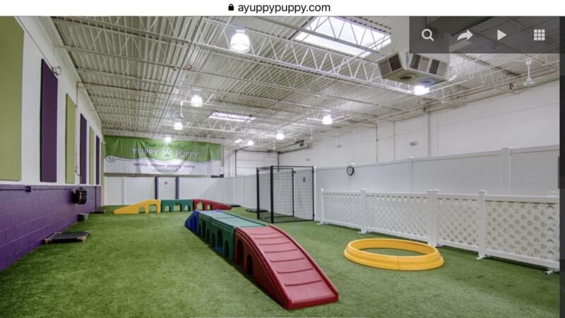 Yuppy Puppy - Lake Bluff, IL