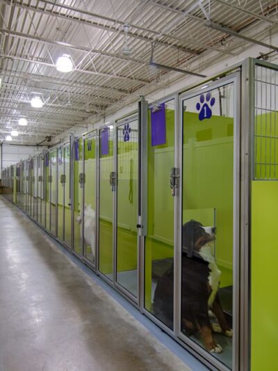 Yuppy Puppy - Lake Bluff, IL