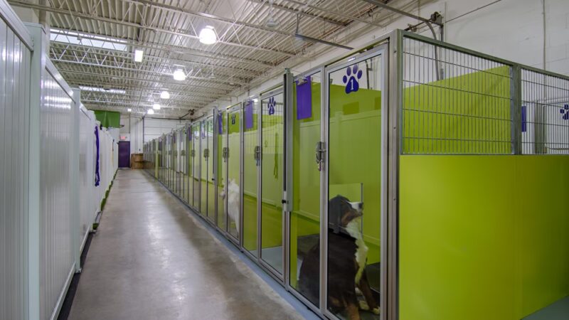 Yuppy Puppy - Lake Bluff, IL