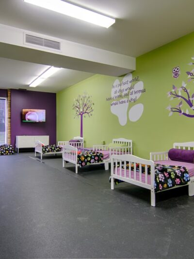 Yuppy Puppy - Lake Bluff, IL