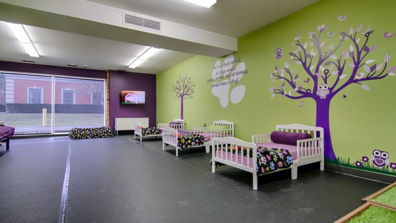 Yuppy Puppy - Lake Bluff, IL