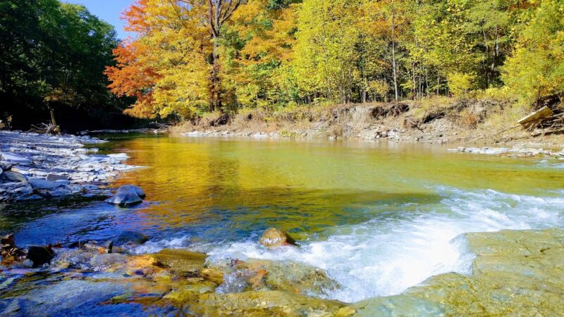 Elk Creek lower - Lake City, PA