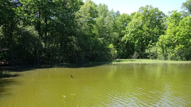 DeMontreville Wildlife Park - Lake Elmo, MN