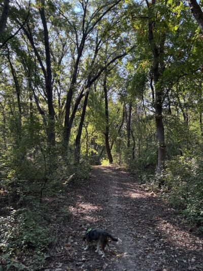 DeMontreville Wildlife Park - Lake Elmo, MN
