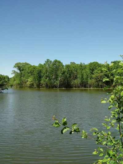 DeMontreville Wildlife Park - Lake Elmo, MN