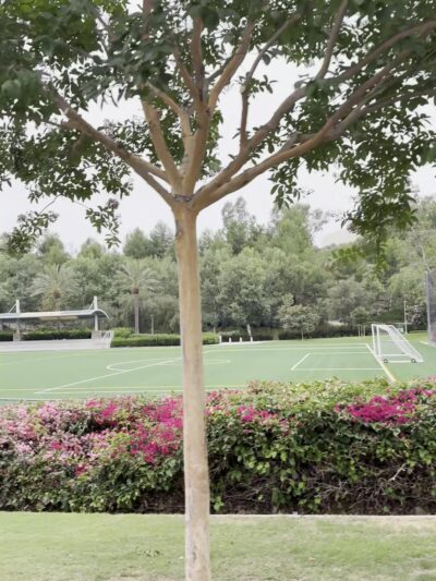 Lake Forest Sports Park: Glass Creek Overlook - Lake Forest, CA