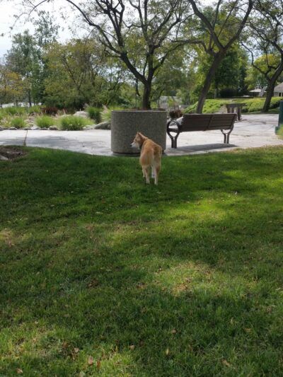 Montbury Park - Lake Forest, CA