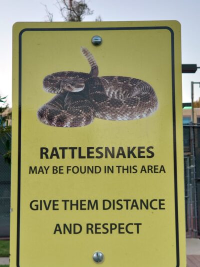 Rancho Serrano Park - Lake Forest, CA