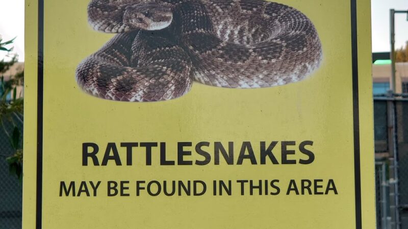 Rancho Serrano Park - Lake Forest, CA