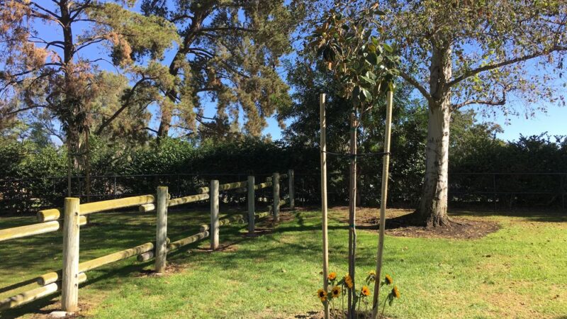 Rancho Serrano Park - Lake Forest, CA