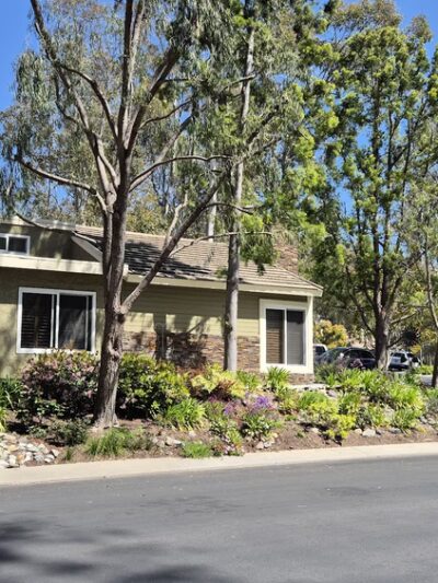 The Woods - Lake Forest, CA