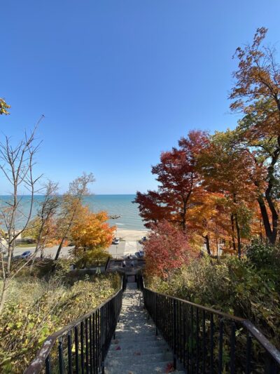 West Park Playground - Lake Forest, IL