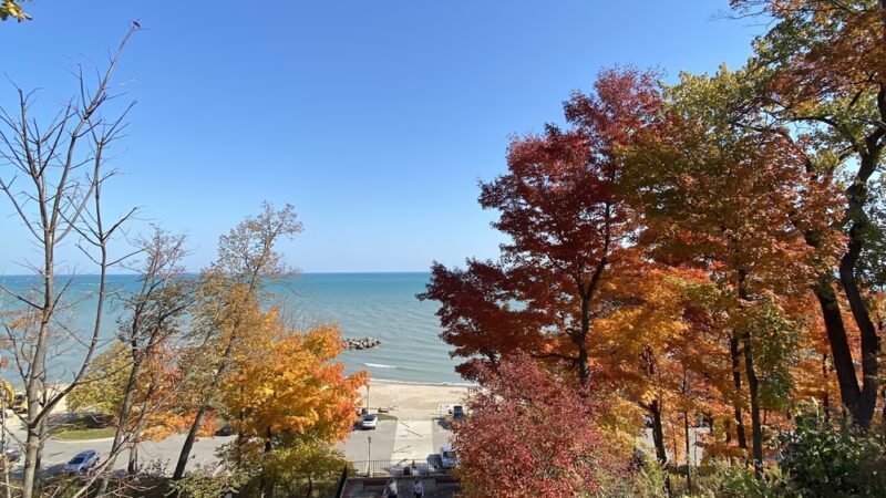 West Park Playground - Lake Forest, IL