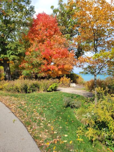 West Park Playground - Lake Forest, IL