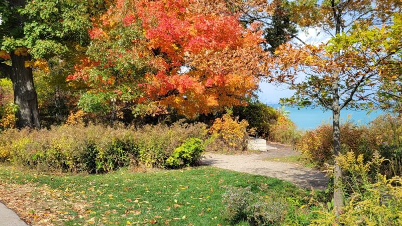 West Park Playground - Lake Forest, IL