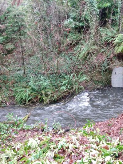 Love Park - Lake Forest Park, WA