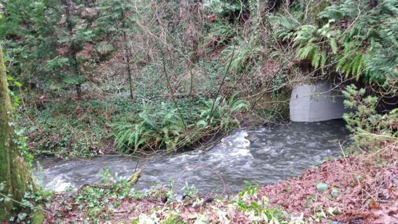 Love Park - Lake Forest Park, WA