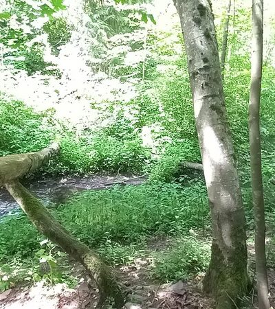 Love Park - Lake Forest Park, WA