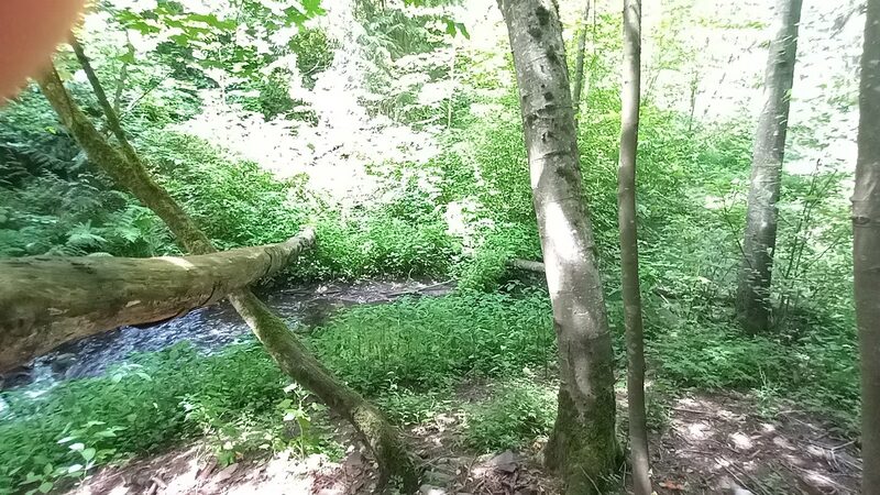 Love Park - Lake Forest Park, WA